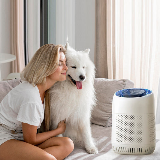 🤧 Stop Suffering From Hay Fever! This Air Purifier Changes Everything