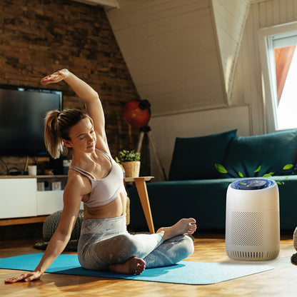 🤧 Stop Suffering From Hay Fever! This Air Purifier Changes Everything