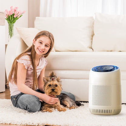 🤧 Stop Suffering From Hay Fever! This Air Purifier Changes Everything